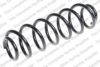 LESJ?FORS 4295096 Coil Spring